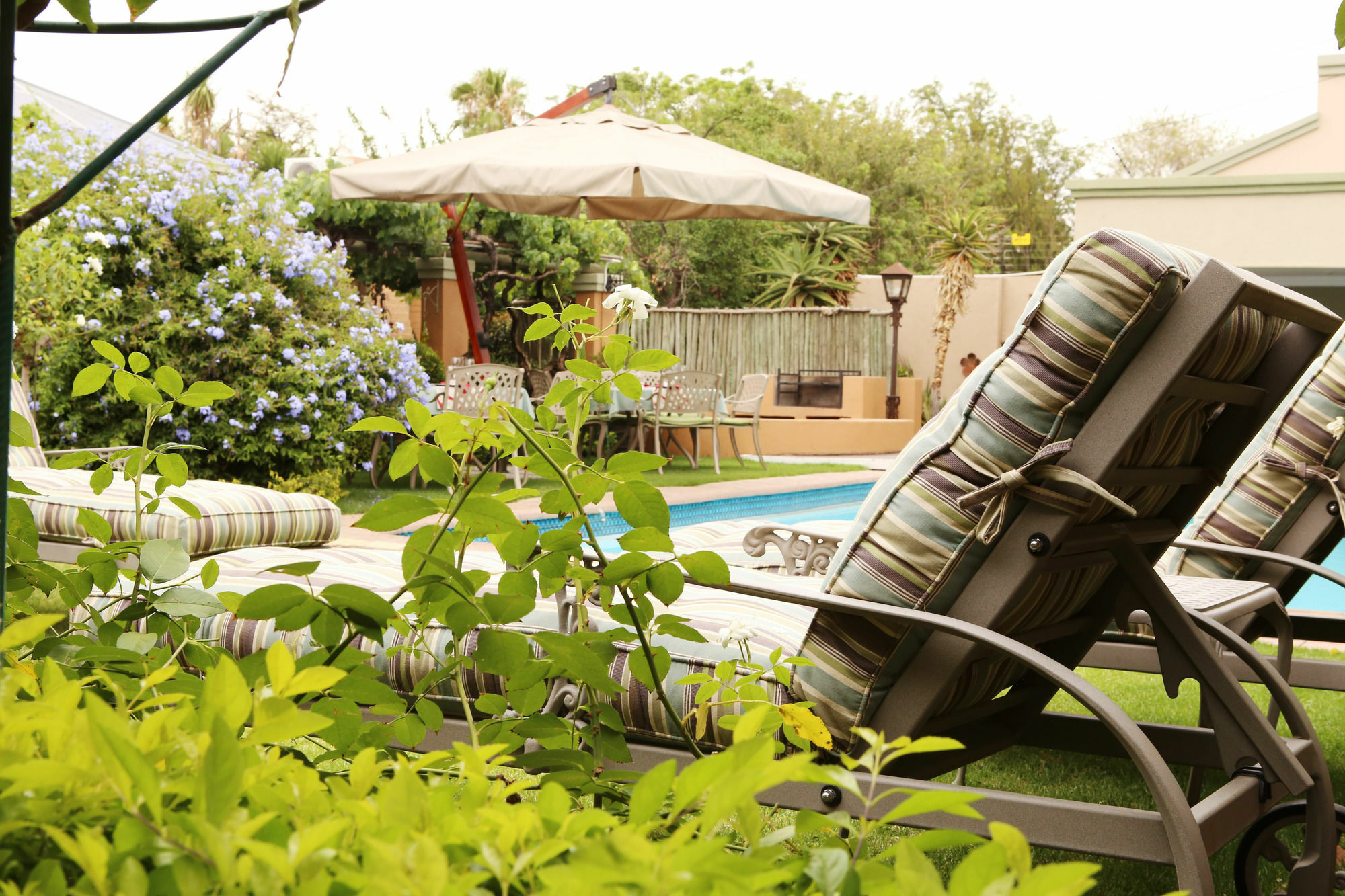 Oleander Guest House Kimberley Esterno foto